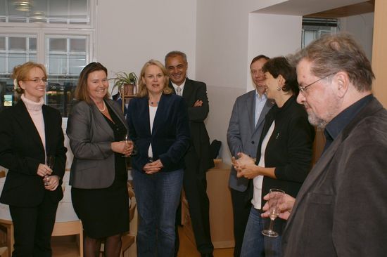 Partikuläres Aggregat von Hybridpolymeren unter dem Rasterkraftfeldmikroskop