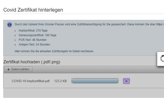 Screenshot upload green pass