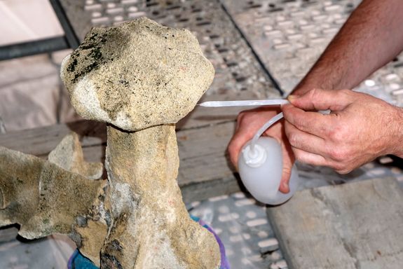 eine verwitterte Sandstein-Skulptur wird mit einer Flüssigkeit behandelt