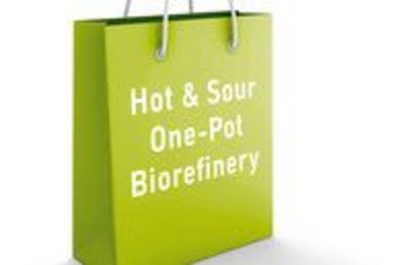 Hot & Sour One-Pot Biorefinery