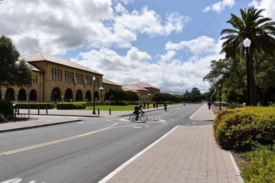 Straße mit Radfahrer und Palmen, dahinter Uni Gebäude