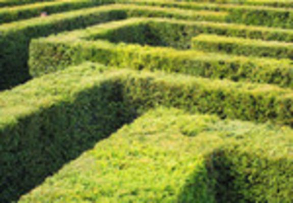 Wege durch den Förderdschungel (Copyright: Henrik Gerold Vogel|Pixelio.de)