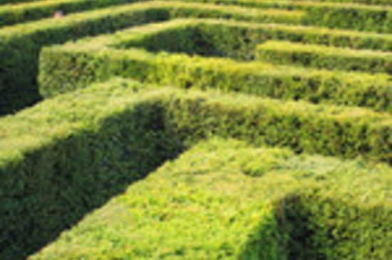 Wege durch den Förderdschungel (Copyright: Henrik Gerold Vogel|Pixelio.de)