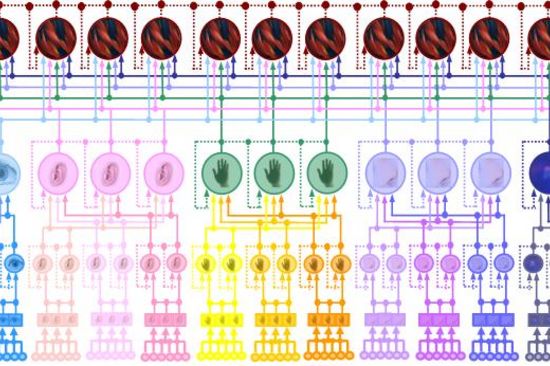 v.l.n.r.: Melanie Todt, Michael Fischer, María Cecilia Poletti,Georg Steinhauser, Karin Föttinger, Alois Zoitl, Magdalena Dlapka, Bernhard Rengs, Angelika Garz