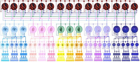 Struktur eines Neuro-Symbolischen Netzwerks