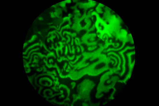 Spiralförmige Wellen bilden sich auf der Rhodium-Folie. Sie liefern wichtige Information über die chemischen Eigenschaften der Oberfläche.