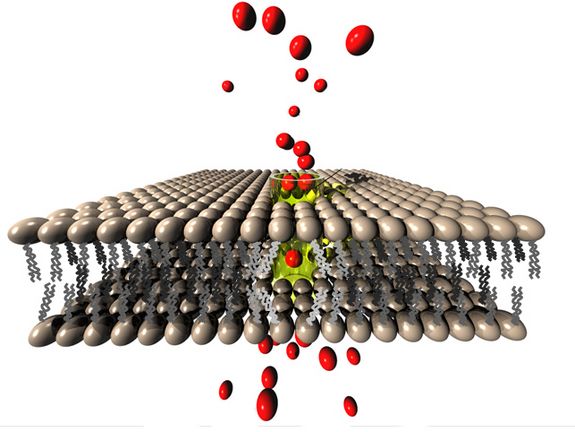 Eine Nanomembran - winzig klein, aber hochkomplex und schwer am Computer zu simulieren