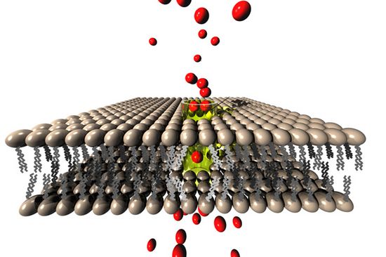 Eine Nanomembran - winzig klein, aber hochkomplex und schwer am Computer zu simulieren