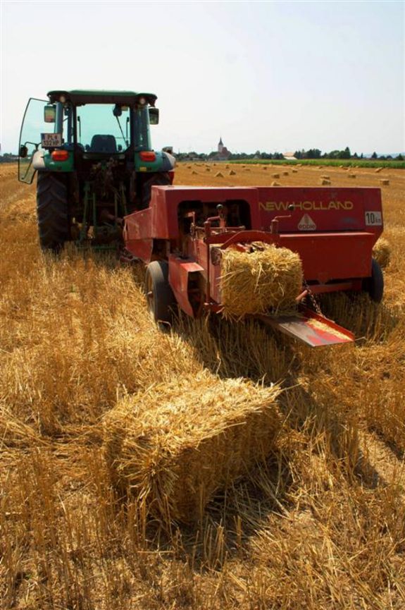 Pressung der Strohballen – direkt am Feld (Copyright GrAT)