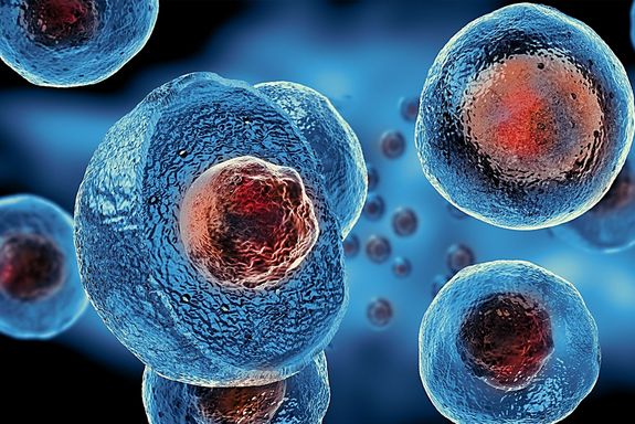 Grafik von Stammzellen