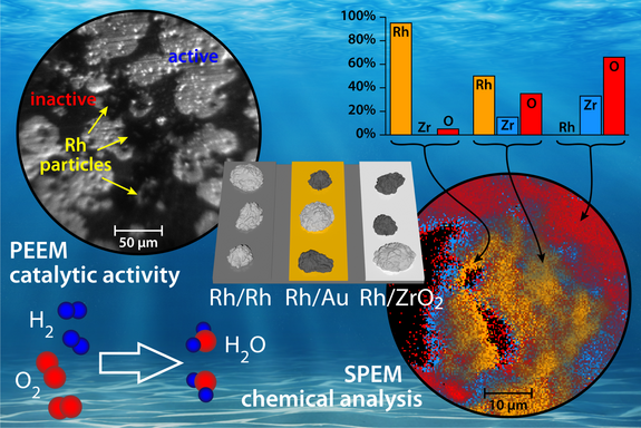 collage aus mehreren Mikroskop-Aufnahmen und Graphik-Elementen