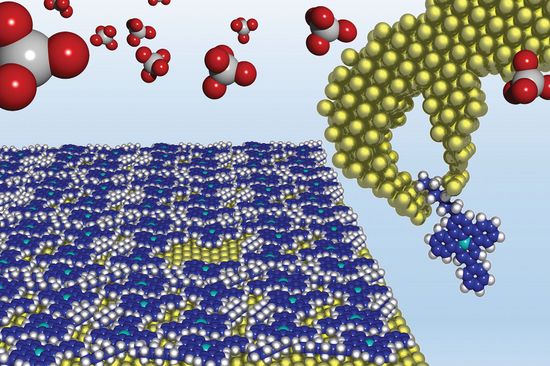 Manche Moleküle ordnen sich auf einer Oberfläche auf ganz bestimmte Weise an - und im optimalen Fall lässt sich das Verhalten sogar steuern.