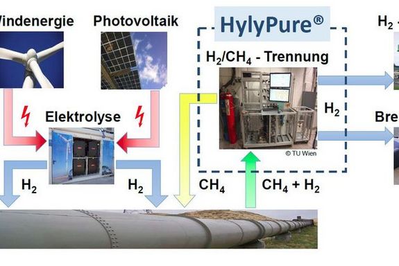 HylyPure Schema
