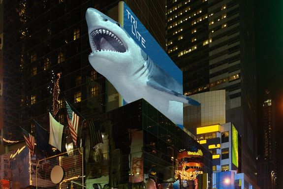 [Translate to English:] 