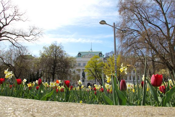 Frühlingshafte Ansicht auf das TU Wien Hauptgebäude, im Vordergrund ein Beet mit gelben und roten Nelken und Narzissen