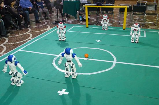 Die Austrian-Kangaroos im Kampf um den Sieg.