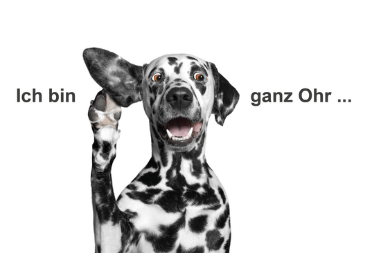 Dalmatiner der die Ohren spitzt mit dem Slogan "Ich bin ganz Ohr""
