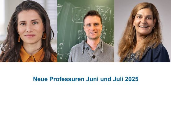 Collage neue Professuren