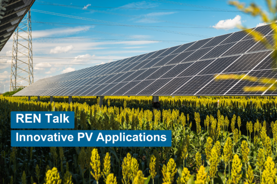 solar panels on a yellow blooming field
