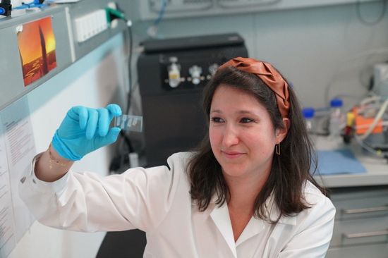 Scientist preparing glass slides for a MS imaging experiment