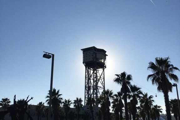 Turm und Palmen