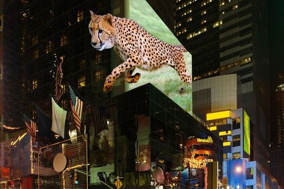 [Translate to English:] 