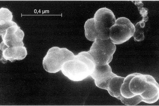 Screenshot, 20.07.07 12:31 Uhr