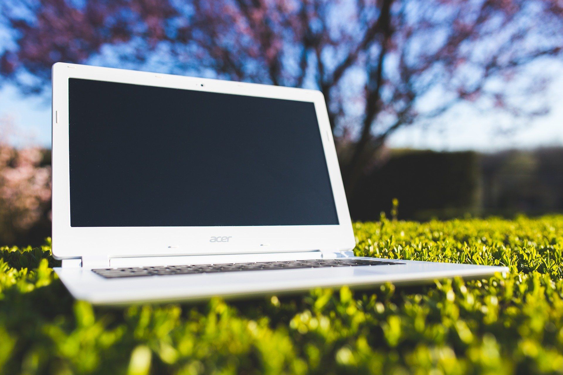 Laptop auf Gras