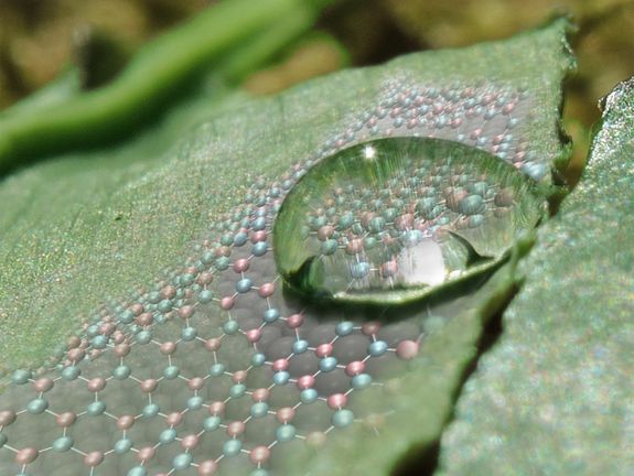Die atomare Struktur entscheidet über die Benetzbarkeit [1]