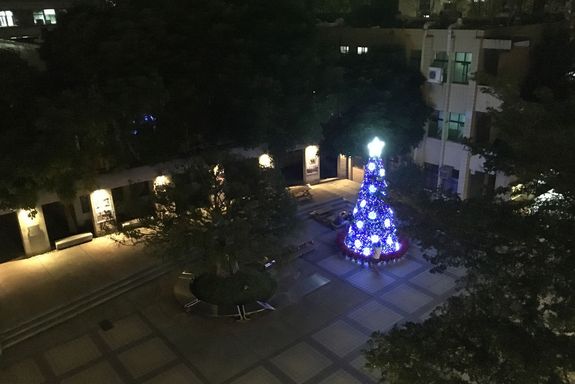 Christbaum