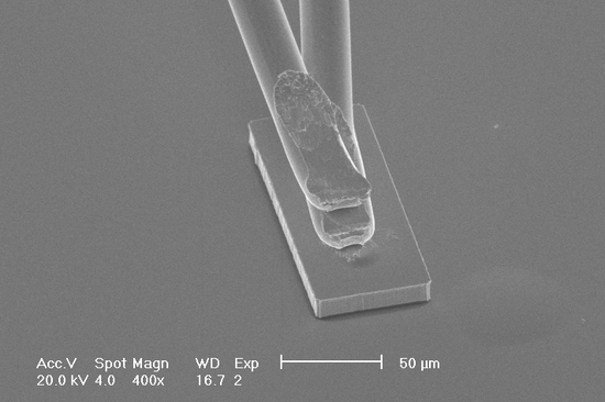 Das Team von Displaced mit Vizerektorin | © Displaced. Space for Change Anna Steiger