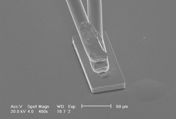 Das Team von Displaced mit Vizerektorin | © Displaced. Space for Change Anna Steiger