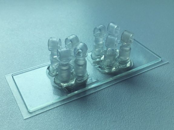 Der Bio-Chip: Hier kann die künstliche Plazenta unter kontrollierten Bedingungen untersucht werden.