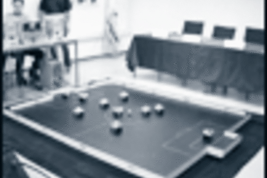 Zakumi, das Maskottchen der Fußball-WM 2010 (Copyright FIFA)