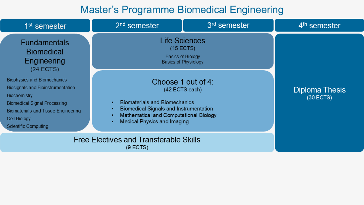 Grafische Darstellung Biomedical Engineering