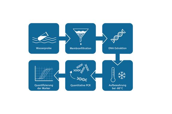 Wassertestverfahren: Wasserprobe, Membranfiltration, DNA Extraktion, Aufbewahrung bei -80 Grad, Quantative PCR, Quantifizierung der Marker