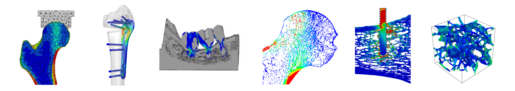 Representations of examples from various simulations