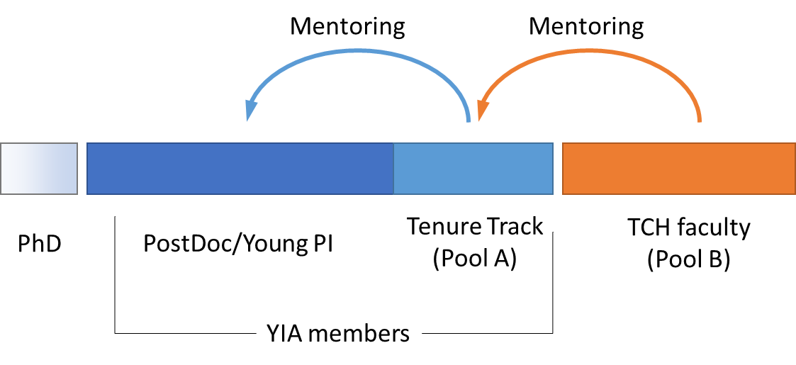 Structure of the YIA-TCH mentoring program