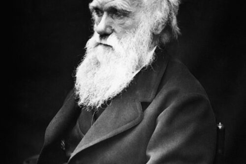 Portrait von Darwin