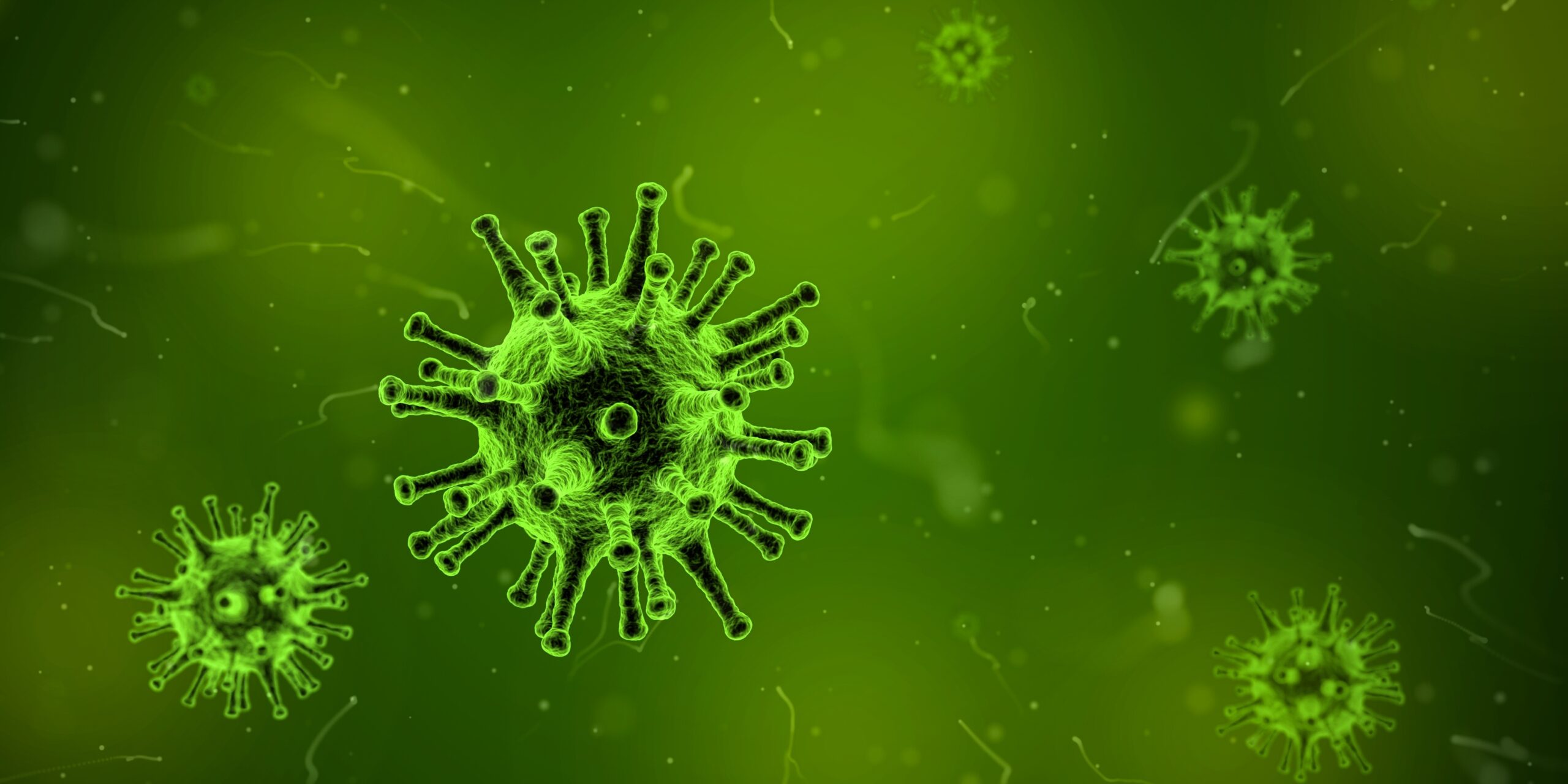 Corona-Viren auf grünem Hintergrund